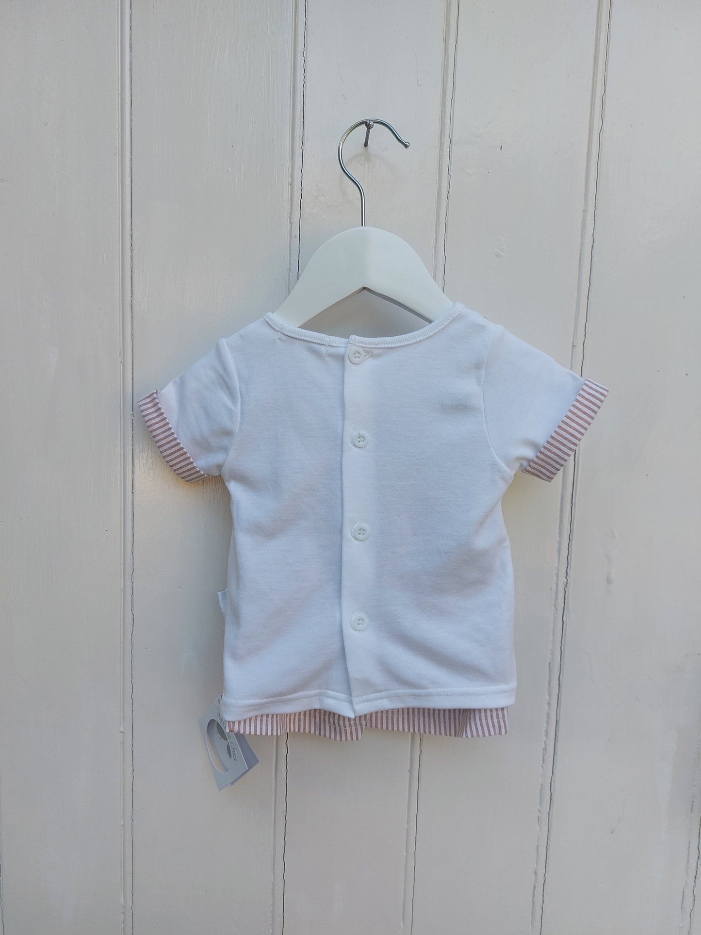 SUNSHINE STRIPE BABY TOP & SHORTS SET - EMBROIDERED TOP & TAUPE STRIPE SHORTS 0-6 MONTHS