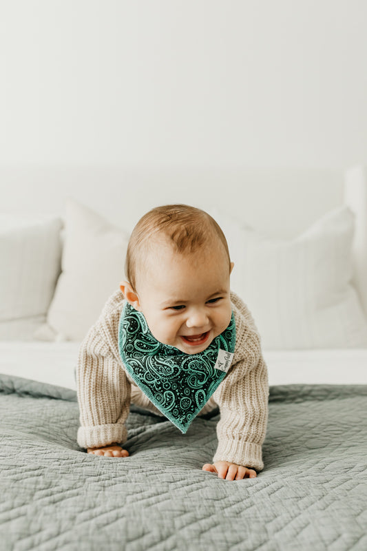 FARM DRIBBLE BIB 4 PACK
