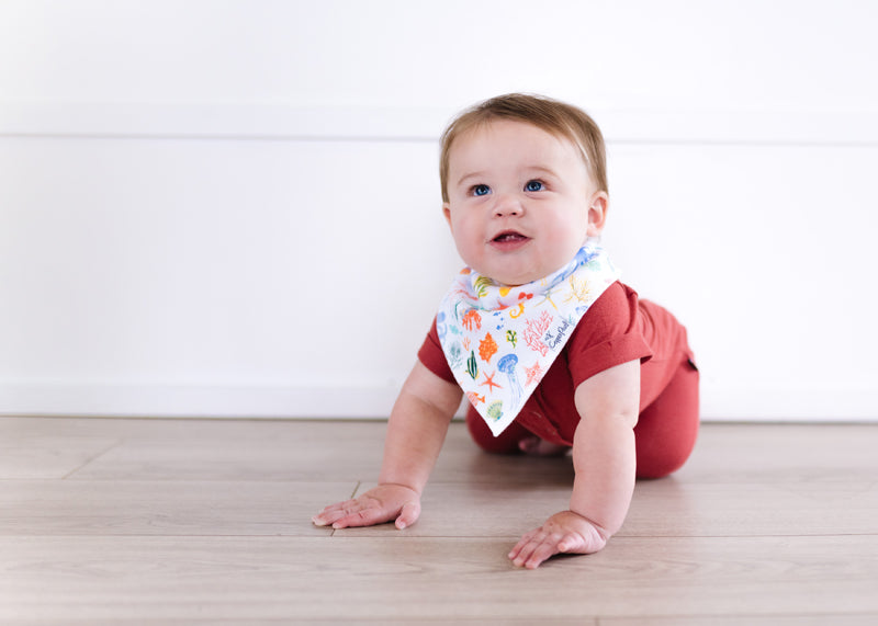 SEASIDE DRIBBLE BIB 4 PACK