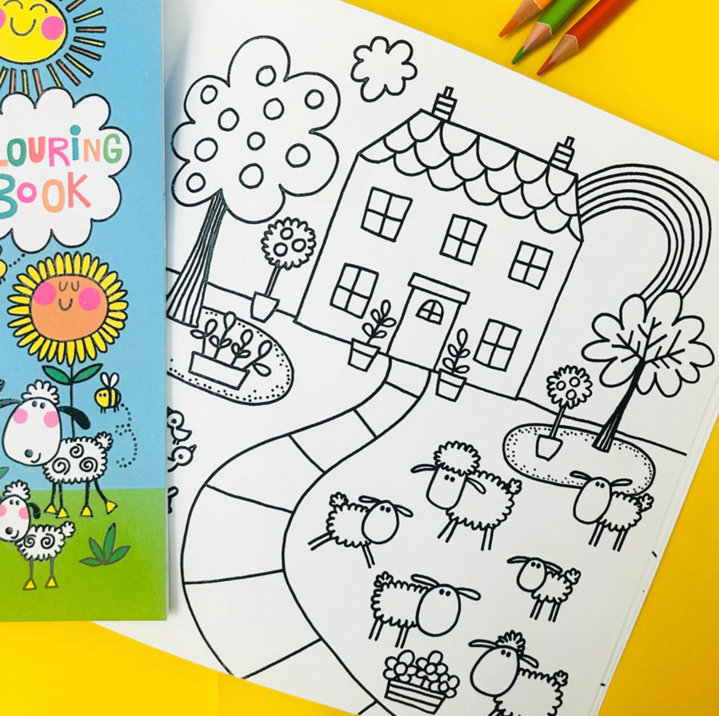 RACHEL ELLEN ON THE FARM COLOURING BOOK
