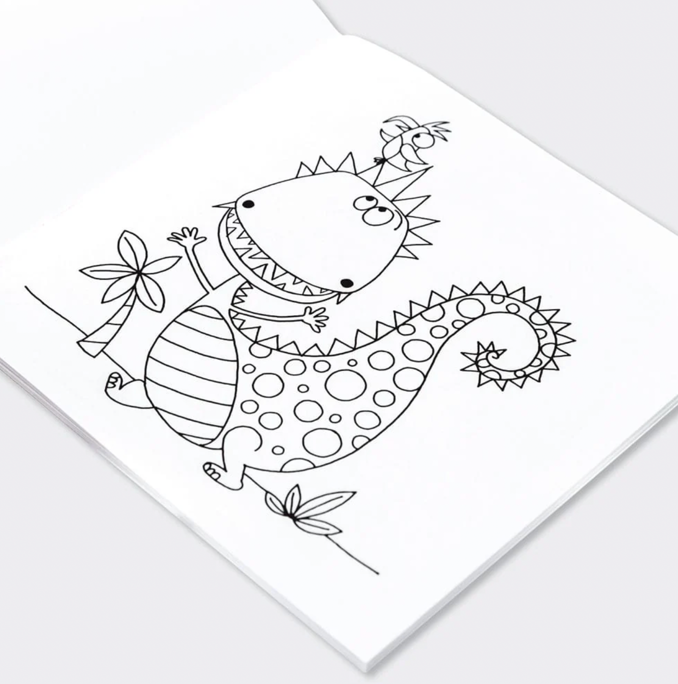 RACHEL ELLEN DINOSAUR COLOURING BOOK