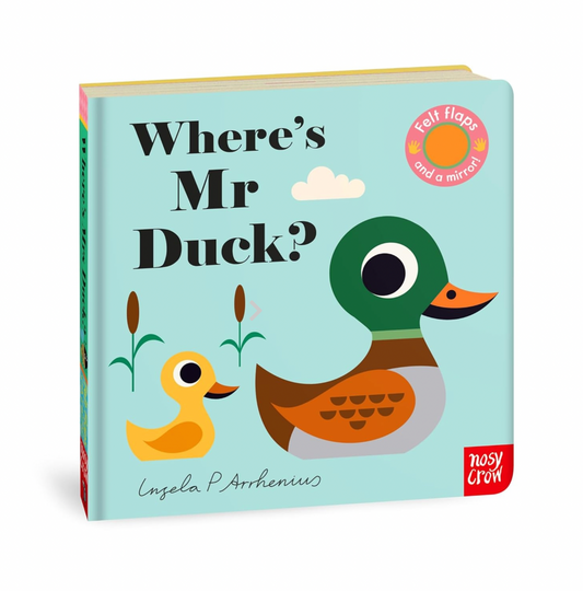 WHERE'S MR DUCK? BUGGY BOOK