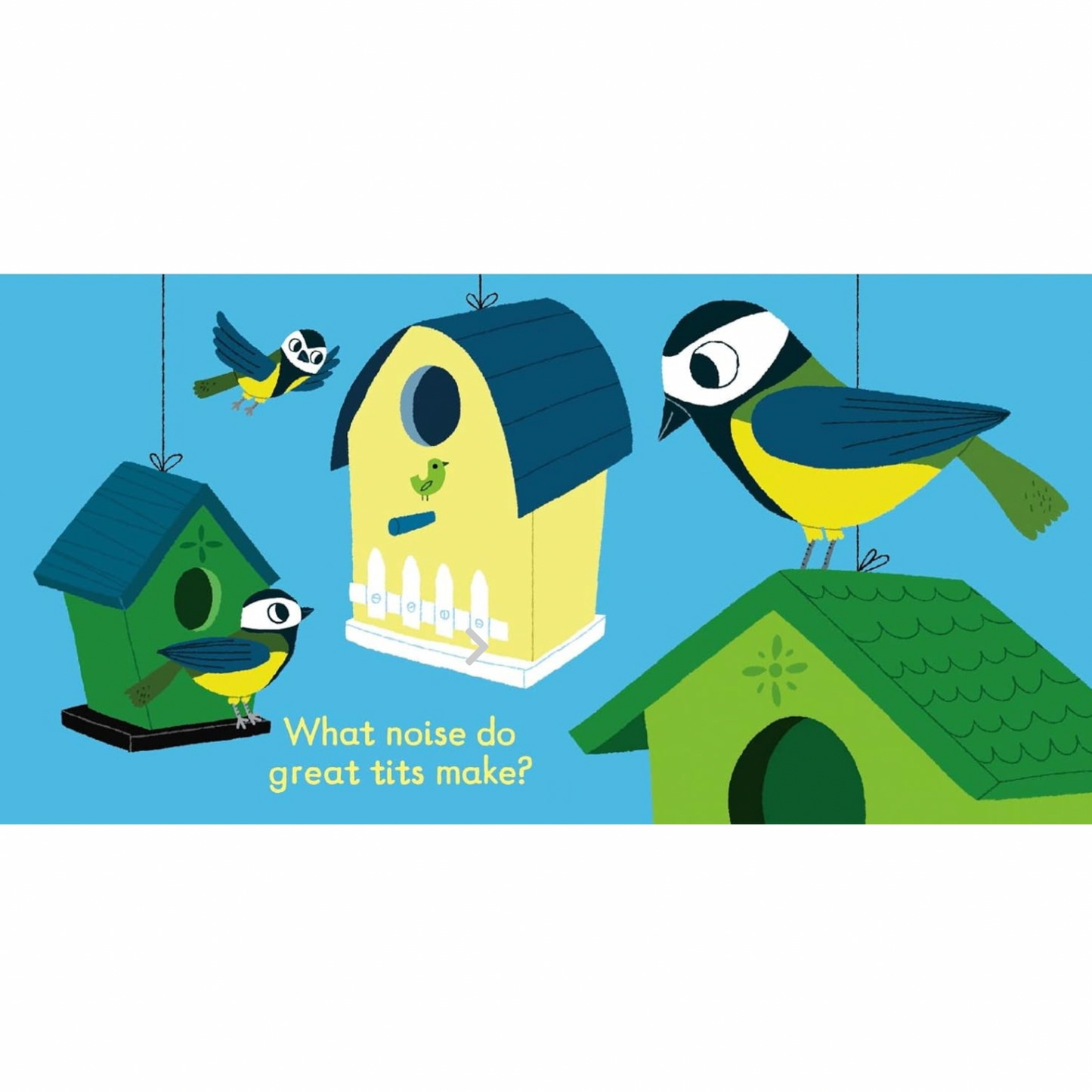 LISTEN TO THE BIRDS BOOK
