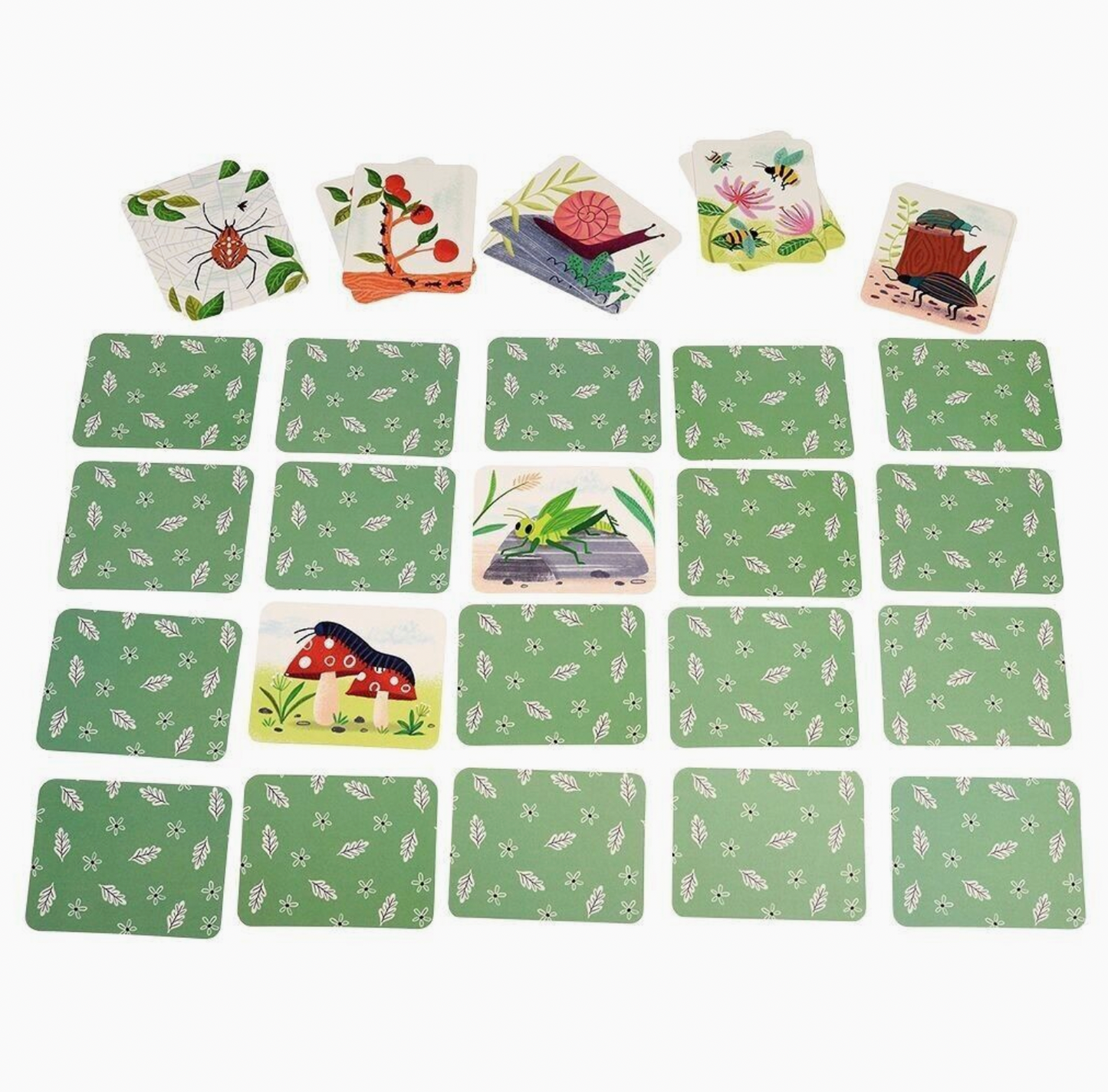 MEMORY GAME - WONDERS OF NATURE | REX LONDON