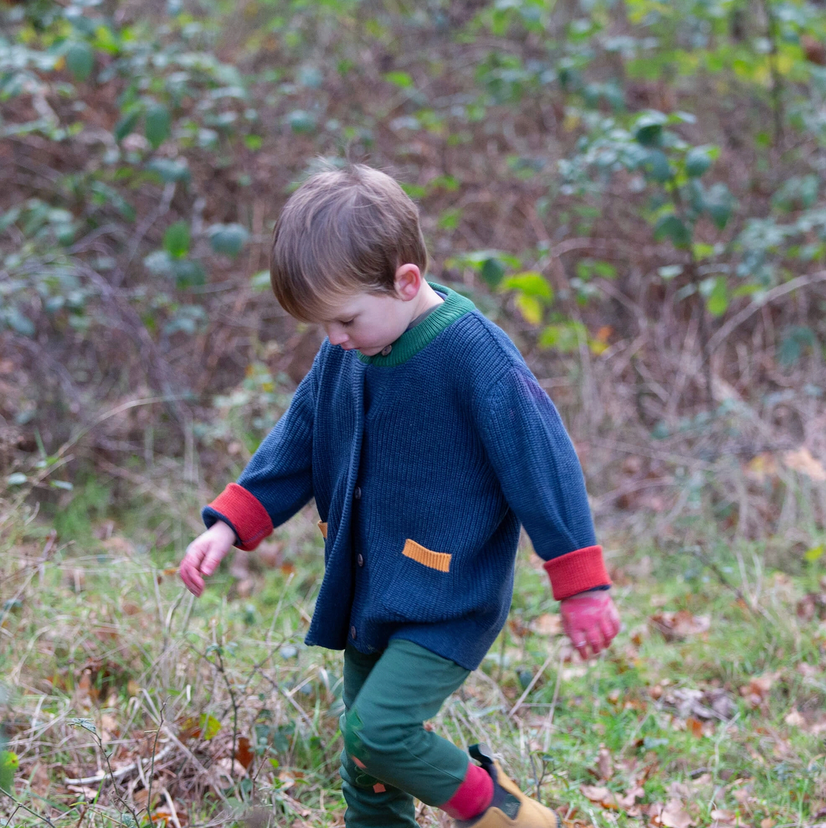 Little Green Rascals Midnight Snuggly Knitted Cardigan — lifestyle shot of a young boy exploring in autumn woodland wearing the midnight navy cardigan with forest green neckline, red cuffs and mustard pocket trim, paired with green trousers and yellow wellies