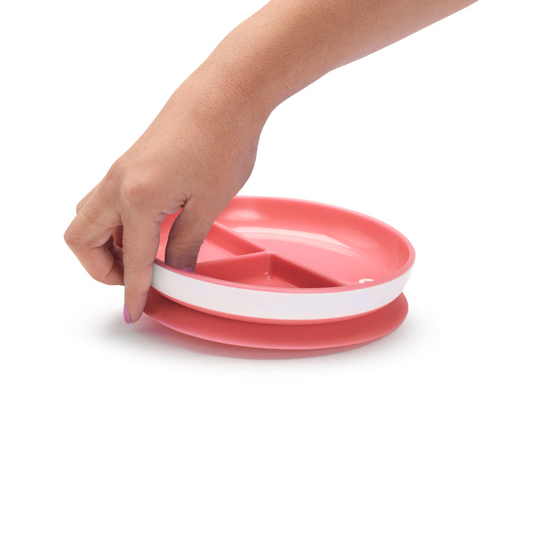 STAY PUT SUCTION PLATE - 4 COLOURS