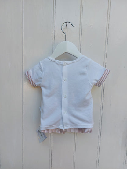 SUNSHINE STRIPE BABY TOP & SHORTS SET - EMBROIDERED TOP & TAUPE STRIPE SHORTS 0-6 MONTHS