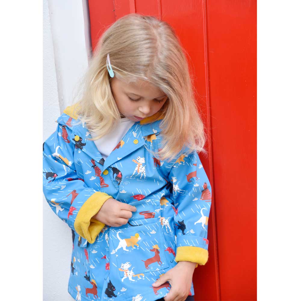 Child wearing a blue raincoat with animal prints, standing against a red background.  IT'S RAINING CATS & DOGS LINED RAINCOAT - 4 SIZES | POWELL CRAFT