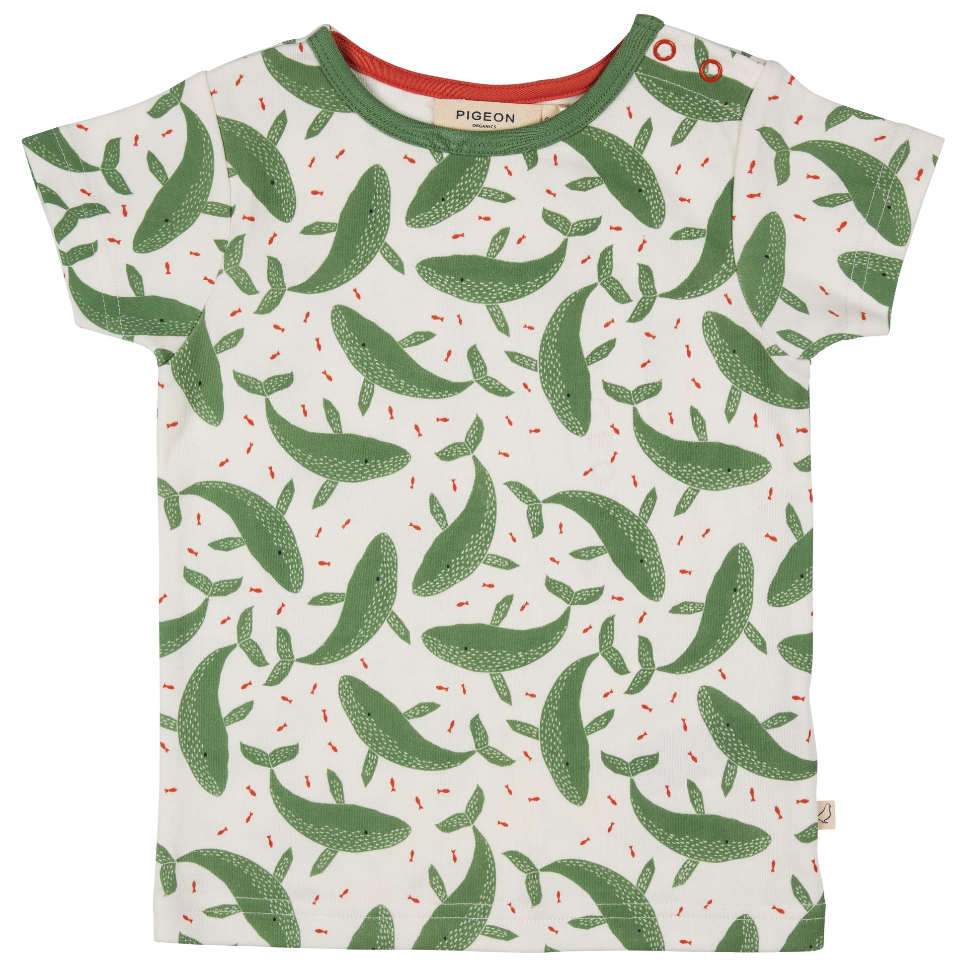 Children's t-shirt with green whale pattern. KID'S ORGANIC COTTON SHORT SLEEVE T-SHIRT - GREEN WHALES | PIGEON ORGANICS