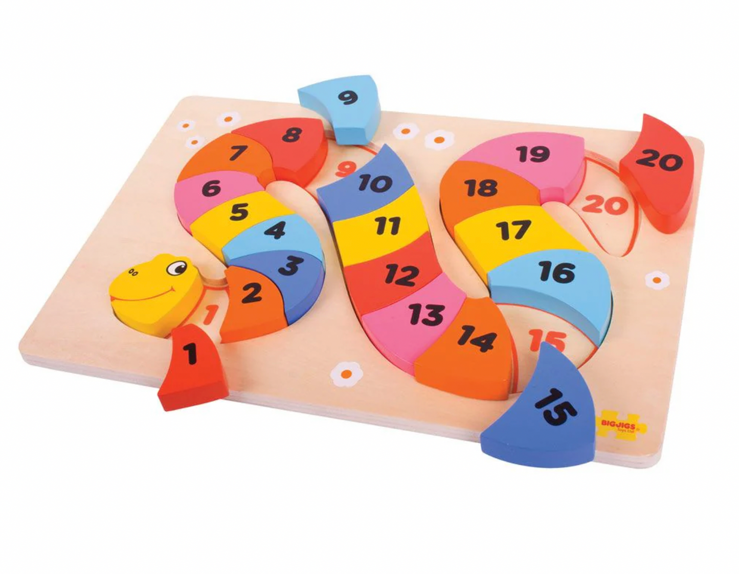 SNAKE COUNTING PUZZLE