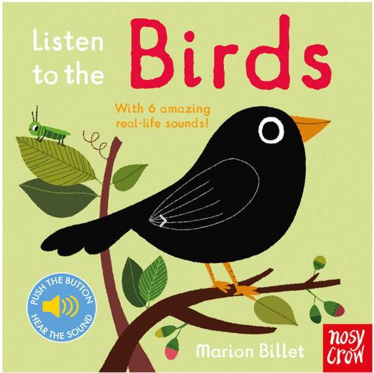 LISTEN TO THE BIRDS BOOK