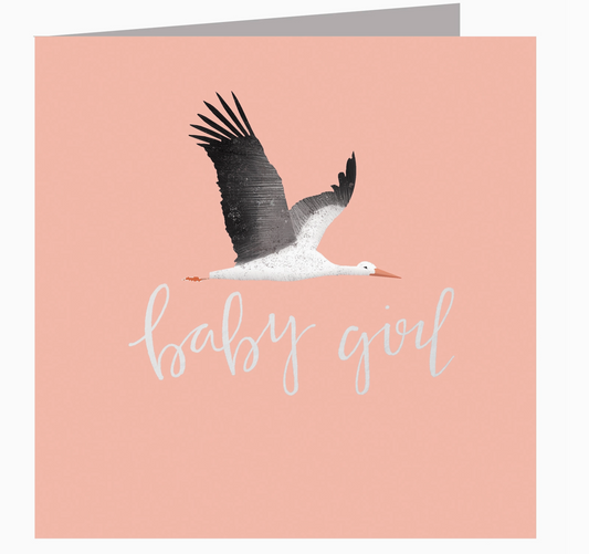 SILVER FOILED PINK STORK NEW BABY GIRL CARD | KALI STILEMAN