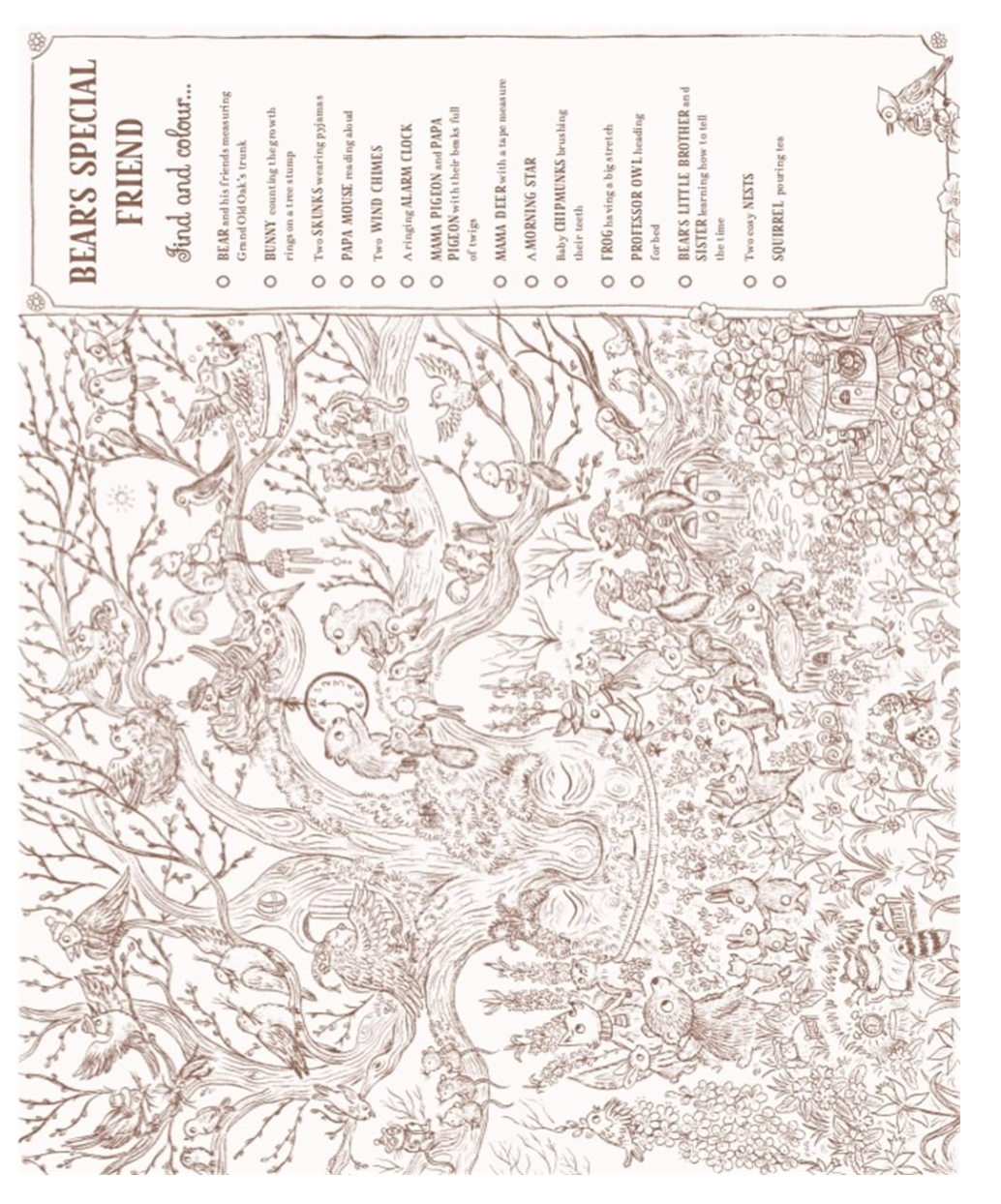 Brown Bear Wood: Colouring and Spotting Book: Colour them in, hang them up!