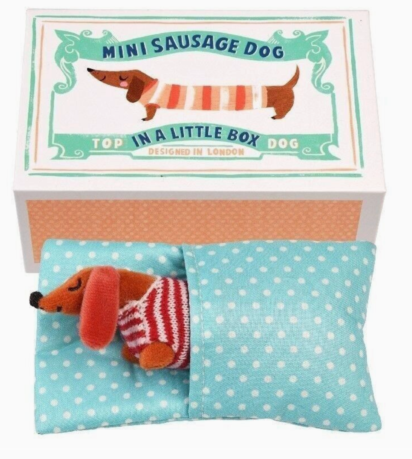 MINI SAUSAGE DOG IN A LITTLE BOX | REX LONDON