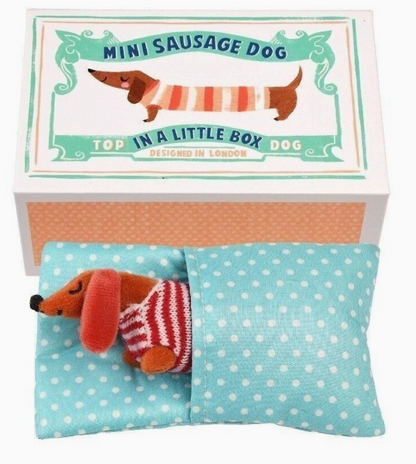 MINI SAUSAGE DOG IN A LITTLE BOX | REX LONDON