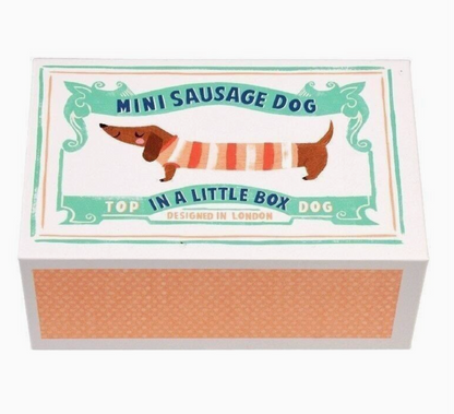 MINI SAUSAGE DOG IN A LITTLE BOX | REX LONDON