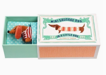 MINI SAUSAGE DOG IN A LITTLE BOX | REX LONDON