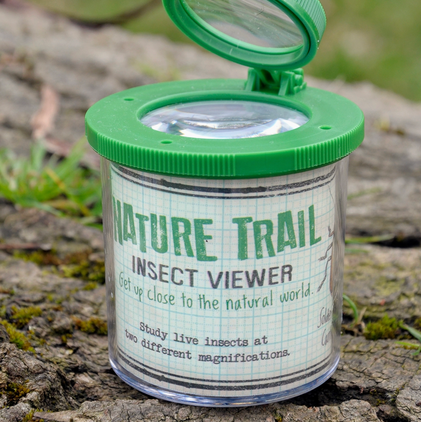 INSECT VIEWER | REX LONDON