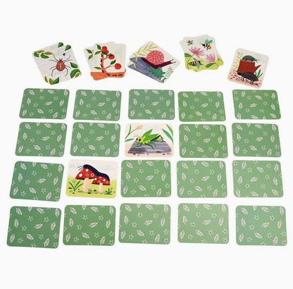 MEMORY GAME - WONDERS OF NATURE | REX LONDON