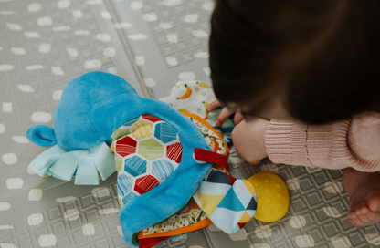 FLIP FLOP PONY TEETHER BOOK | NUBY
