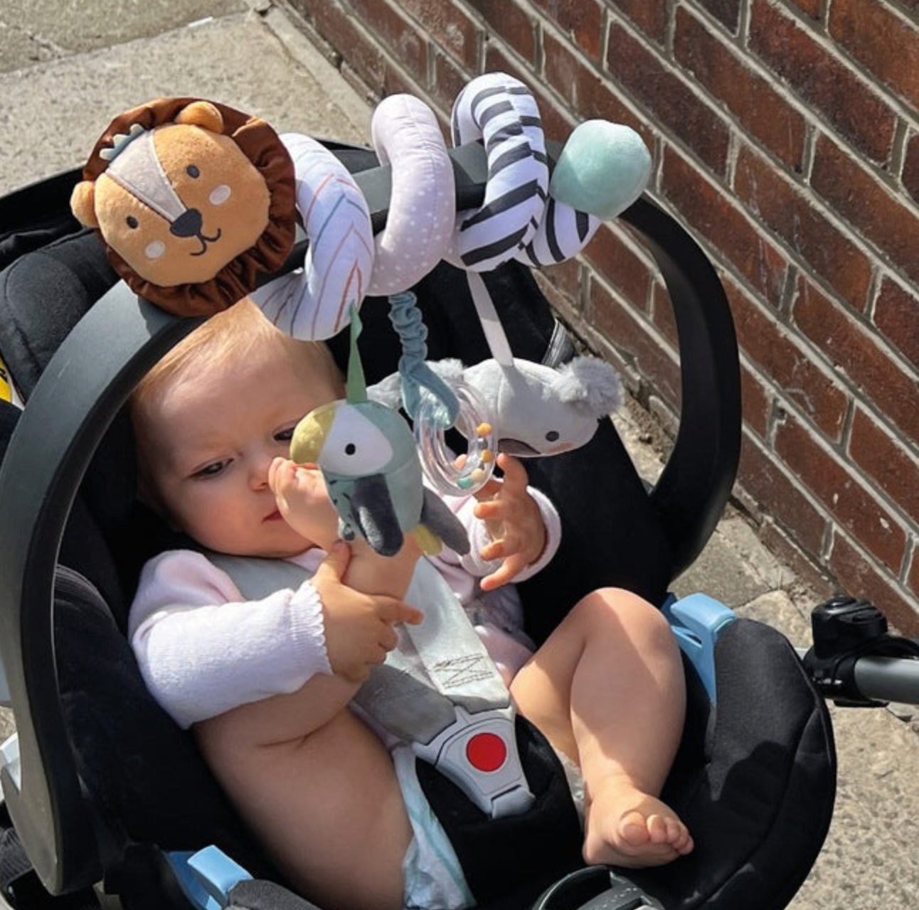 ANIMAL ADVENTURE SPIRAL | NUBY