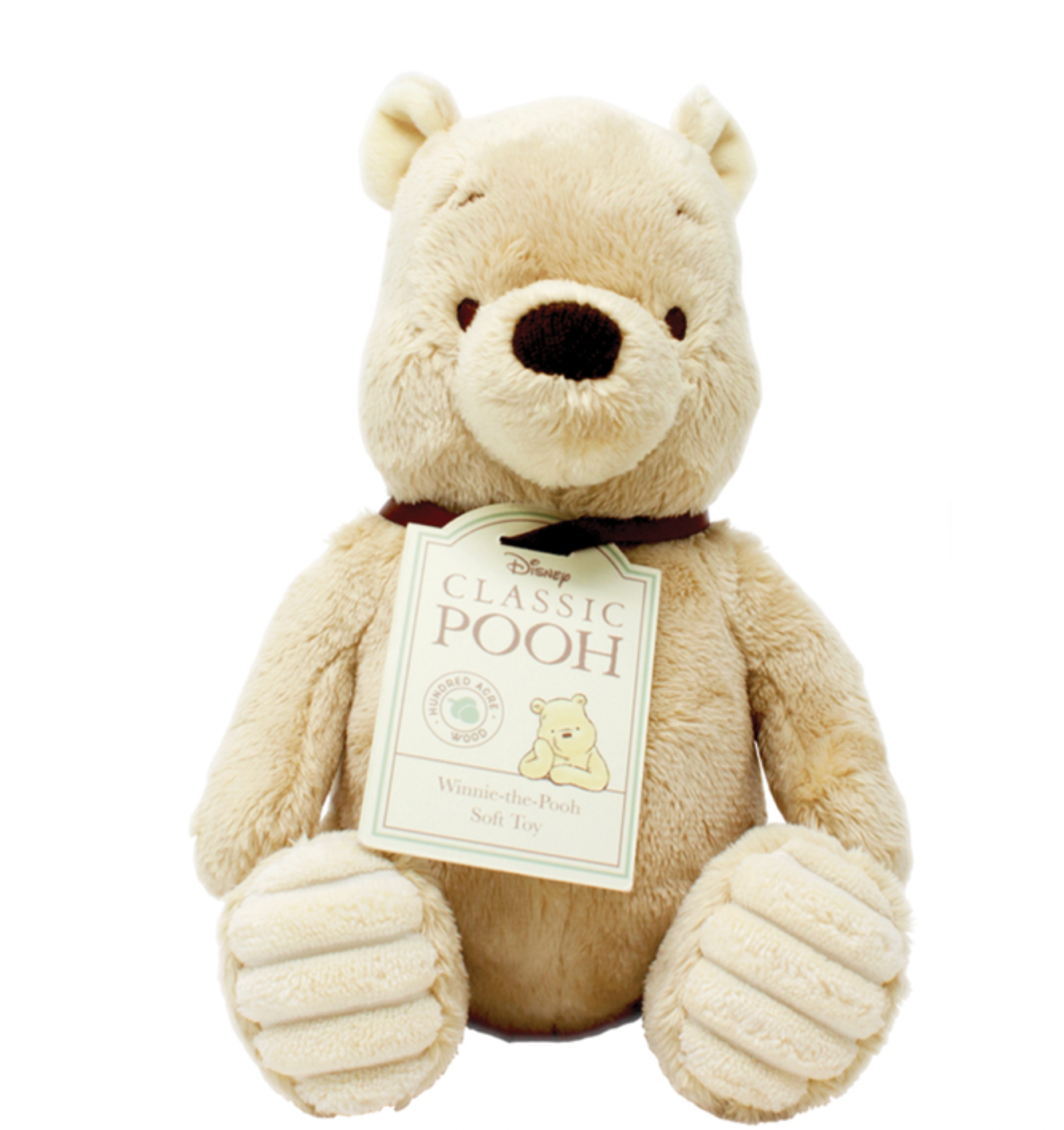 WINNIE THE POOH | RAINBOW DESIGNS