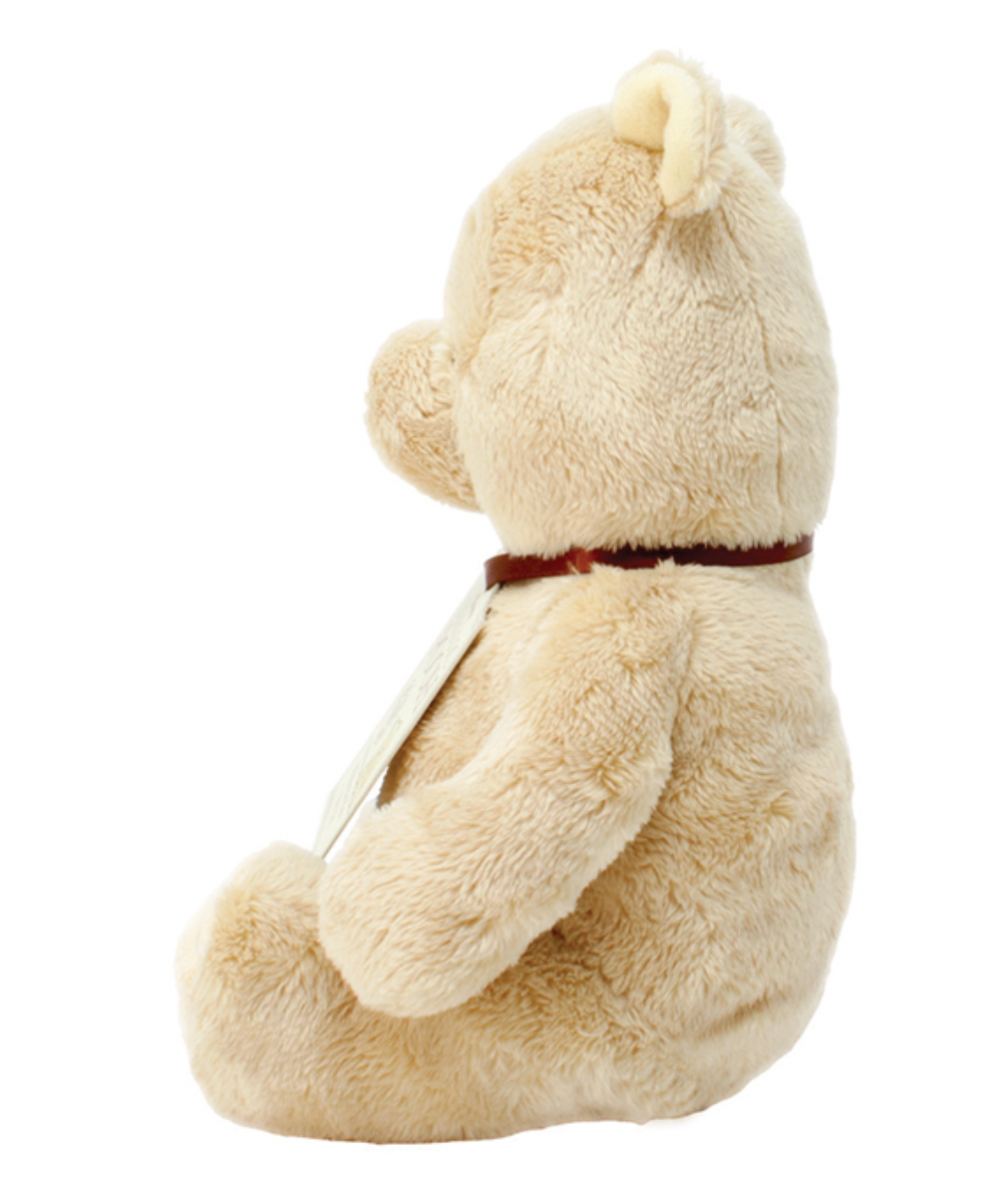 WINNIE THE POOH | RAINBOW DESIGNS