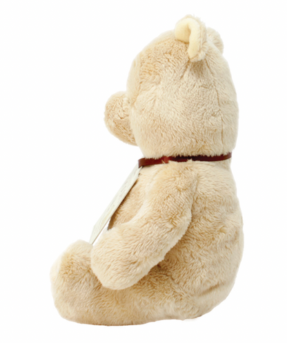WINNIE THE POOH | RAINBOW DESIGNS