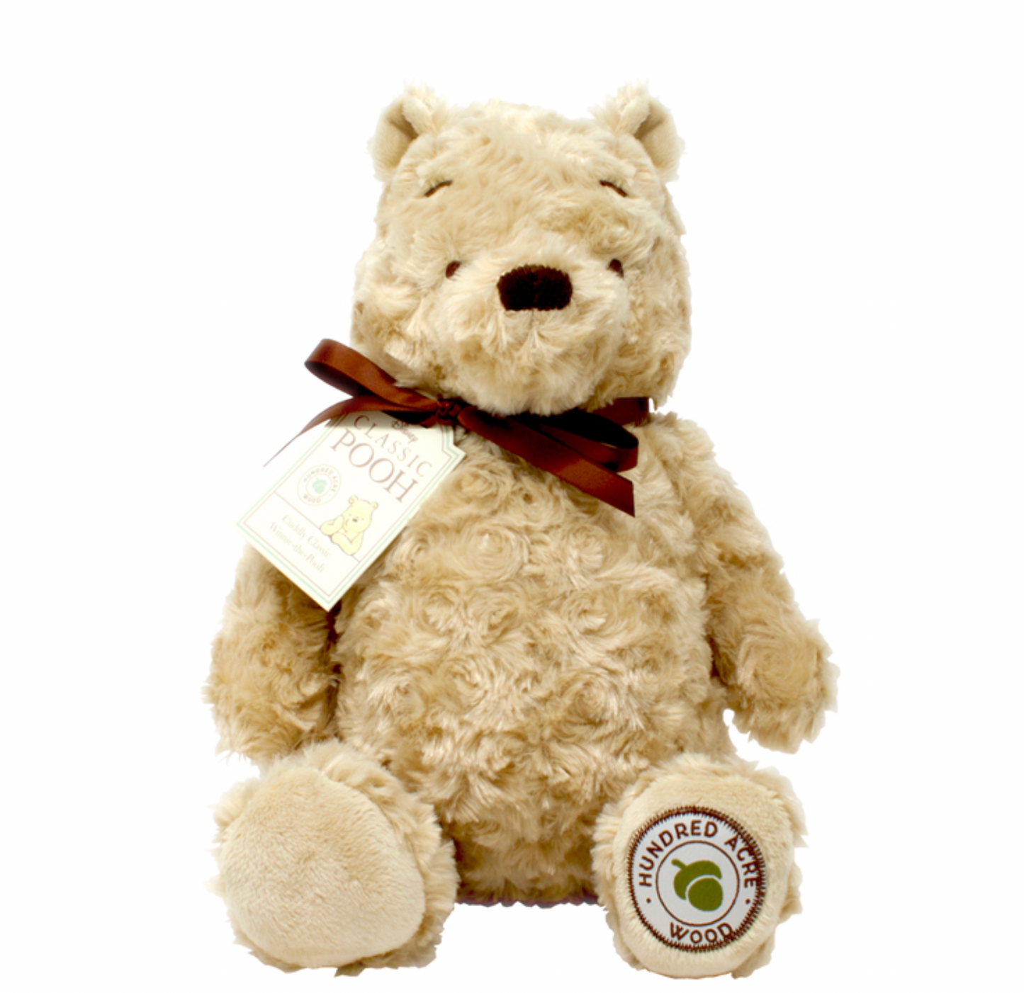 CUDDLY WINNIE THE POOH | RAINBOW DESIGNS