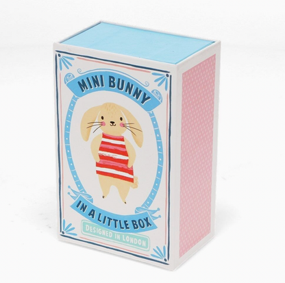  Gift box closed; white with sky blue lid; illustrated blue oval frame; golden cream cartoon bunny in striped top; Designed in London badge; pink polka dot sides