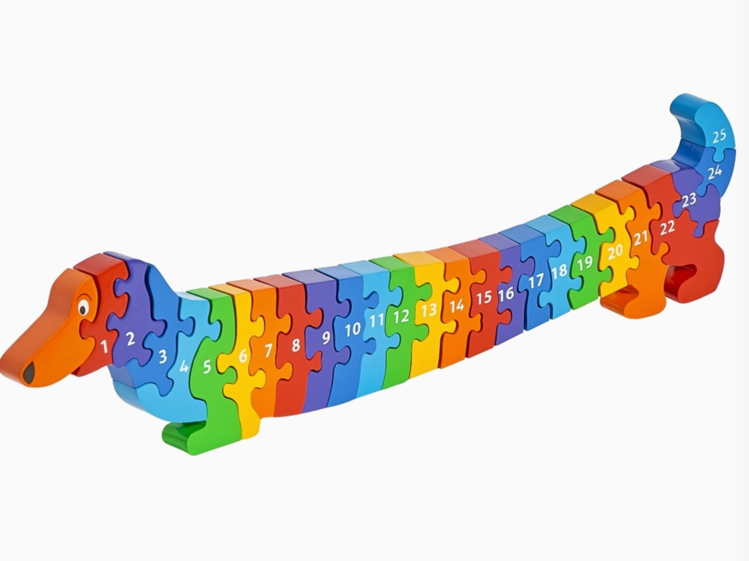 Full 540mm rainbow dachshund; orange head with drooping snout; numbers 1–25; green legs; sky blue curling tail; freestanding