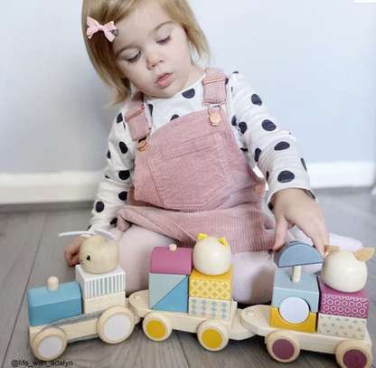 Bigjigs activity pull-along train product image; wooden train toy for children aged 12 months and over, 38.6cm wide, 16cm high and 8cm deep