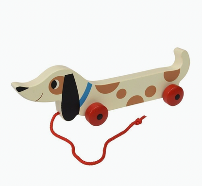 Rex London wooden pull-along sausage dog toy named Charlie, measuring 31.5 cm long with a 58 cm pull string; suitable from 12 months.
