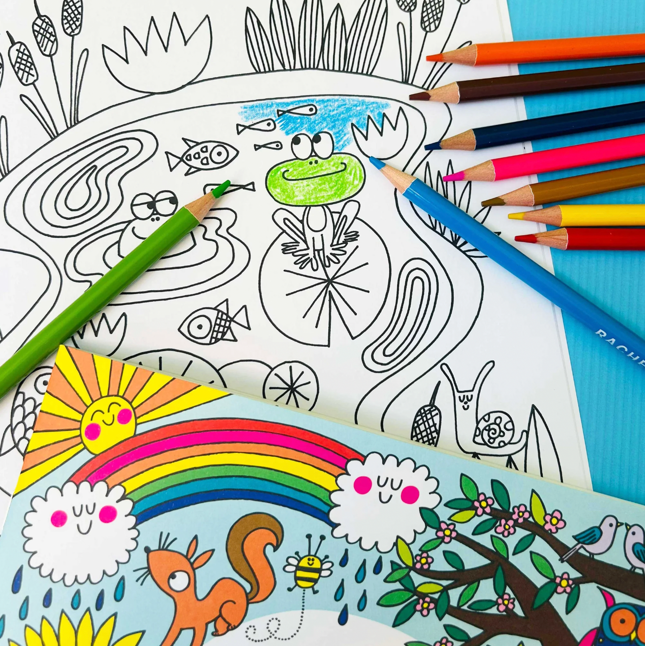 Coloring book with animal illustrations and colored pencils. Rachel Ellen Nature Trail Colouring Book | Annabel's of Cranbrook