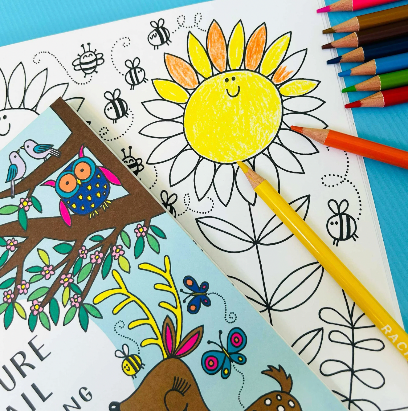 Coloring book pages with a sun, owl, and butterfly design, accompanied by colored pencils on a blue background. Rachel Ellen Nature Trail Colouring Book | Annabel's of Cranbrook